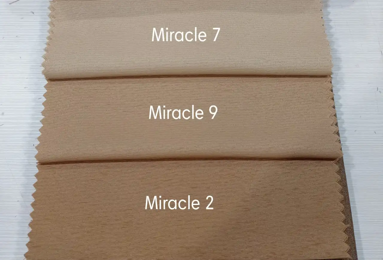 MIRACLE - Image 8